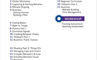 Improving Myself as a Dog Breeder Through the Karen Pryor Academy Dog Trainer Professional Program!