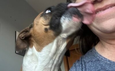 My first week of the KPA Dog Trainer Professional program and some animal podcast recommendations for you!