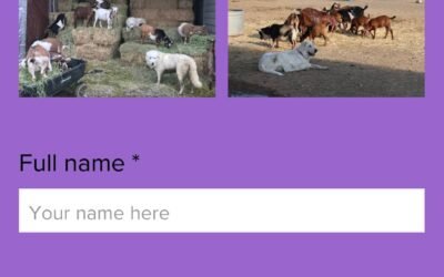 Maremma Sheepdog Consulting Services, New CRM and 1/2 off Spring dairy goat kids!