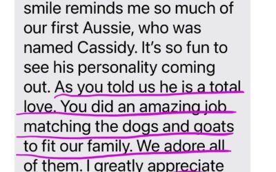 Life Finds a Way! – SURPRISE!! 🐐🐐🐐 And Great Things Come to Those Who Wait!