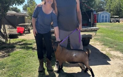 Dairy doe giveaway winner update!