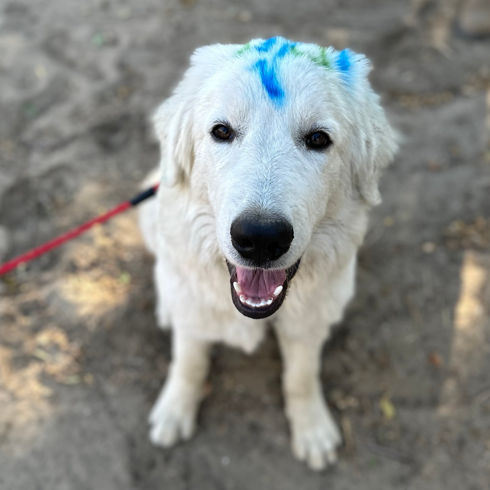 IMG 0842 Early Reservation Bonus Offer