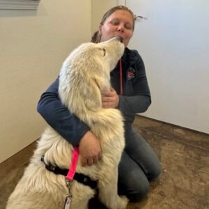 Veterinary Appointment Service