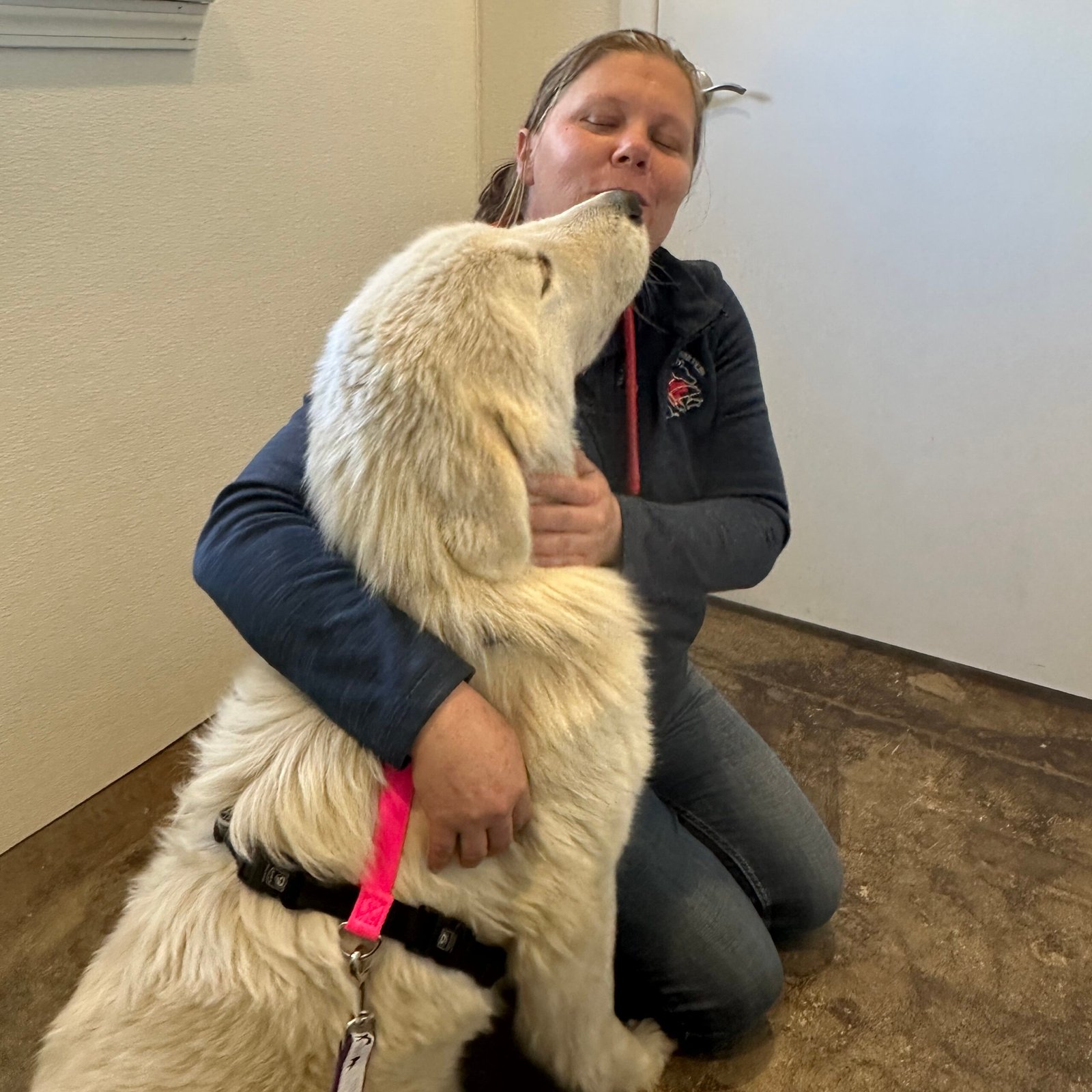 IMG 8657 scaled Early Reservation Bonus Offer