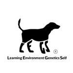 Untitled 250 x 150 px 150 x 150 px 3 How to Safely Acclimate Young Livestock Guardian Dogs with New Livestock