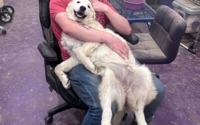 This is why I rarely leave my farm! 😩😆😂🦮🐐