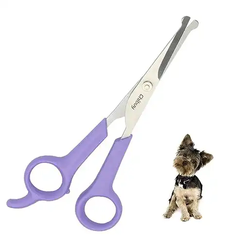 Chibuy Professional Pet Grooming Scissors