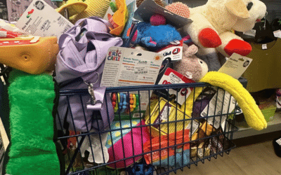 Best Toys and Enrichment Ideas for Livestock Guardian Dog Puppies