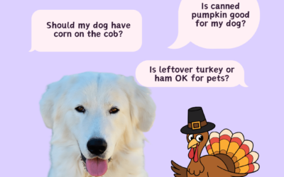 Thanksgiving Safety Tips for Livestock Guardian Dogs