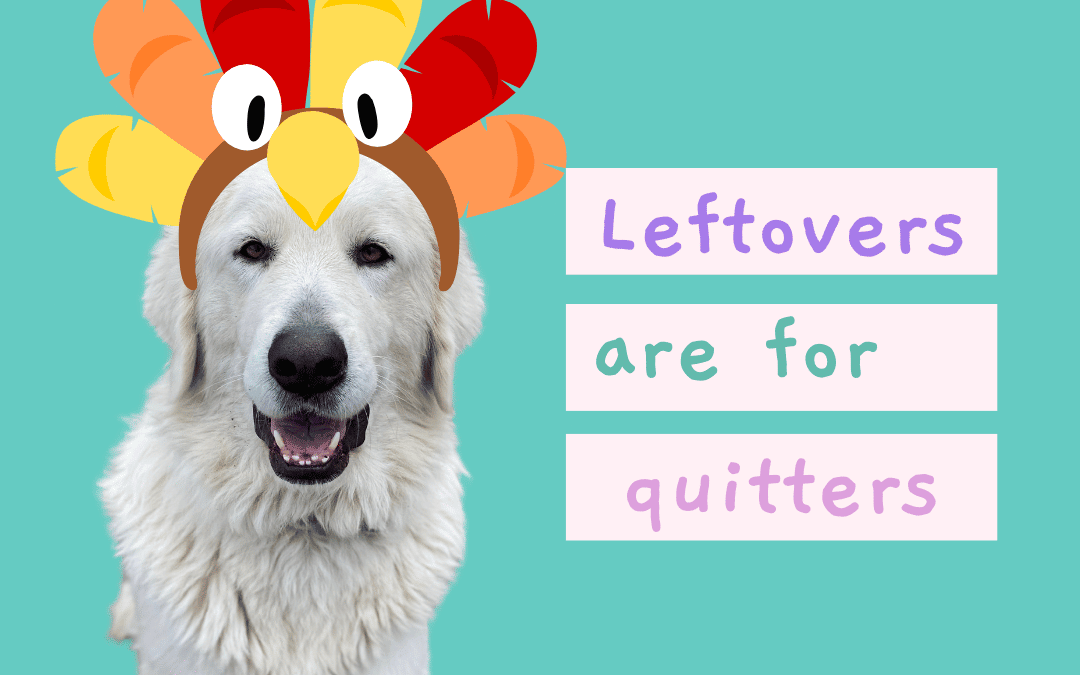 🦃 Happy Thanksgiving from Prancing Pony Farm!