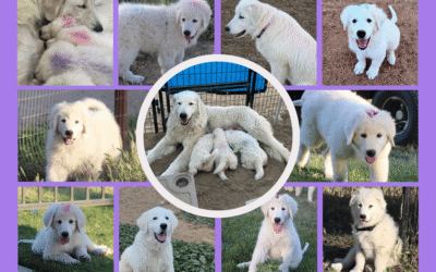 Good-bye 2024 – Hello 2025! 🎉🎉🎉