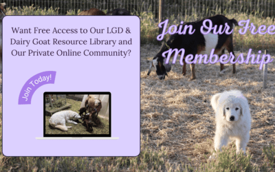 Sign Up Now for Free Expert Support for Your Livestock Guardian Dog