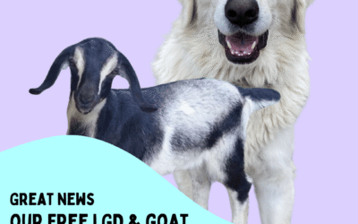 🎉Announcing Our Free LGD & Dairy Goat Membership Site! 🐐🦮