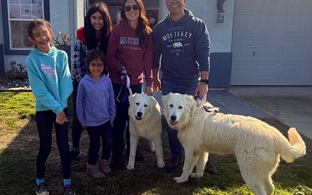 🎉NEW FREE Digital Course – Get Our Quick Start Guide to Livestock Guardian Dogs