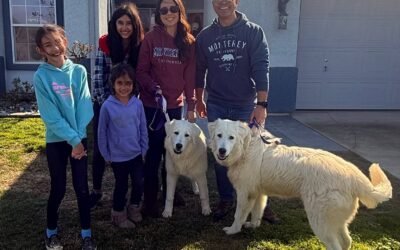 🎉NEW FREE Digital Course – Get Our Quick Start Guide to Livestock Guardian Dogs