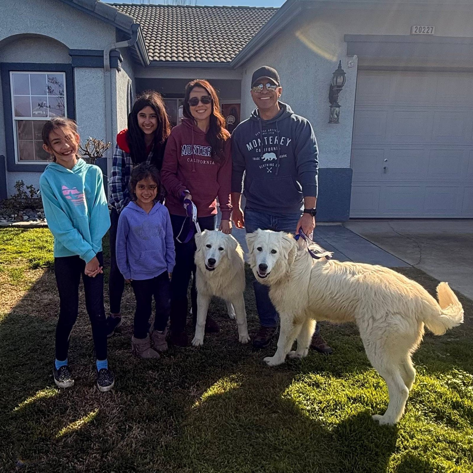 Why Smart Planning Makes All the Difference: Your Guide to Maremma Success