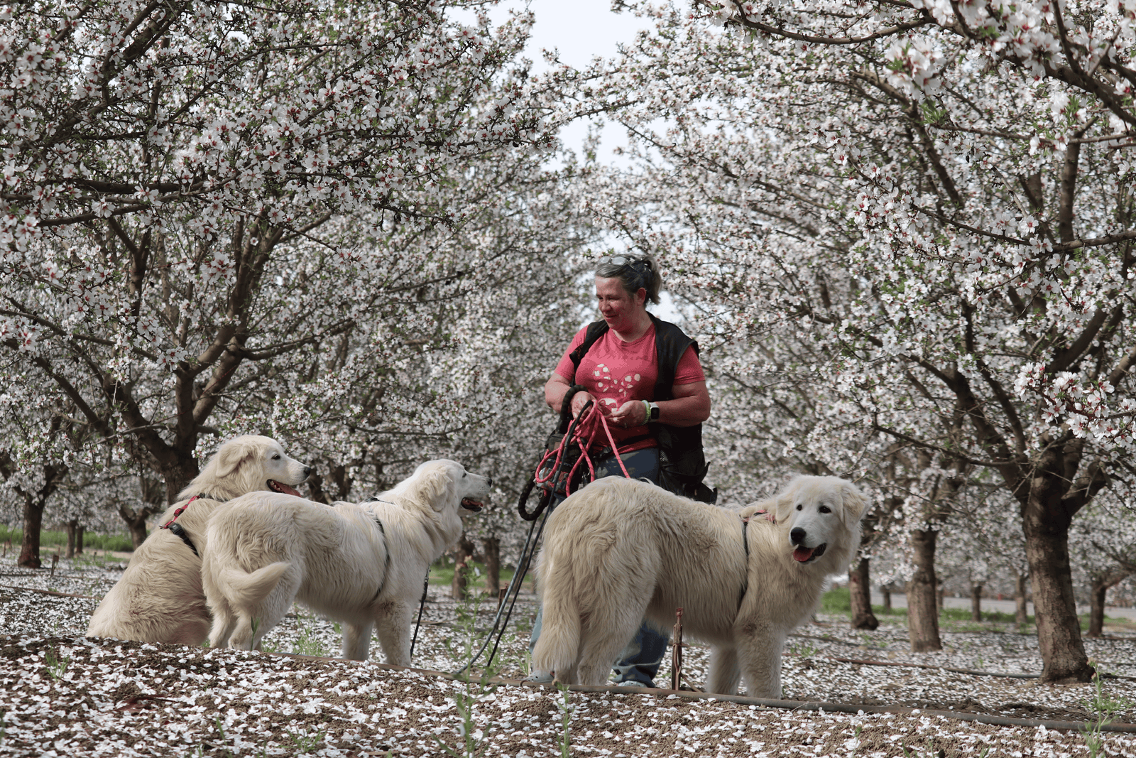 55 1 Kim Crawmer, KPA CTP, LFDM