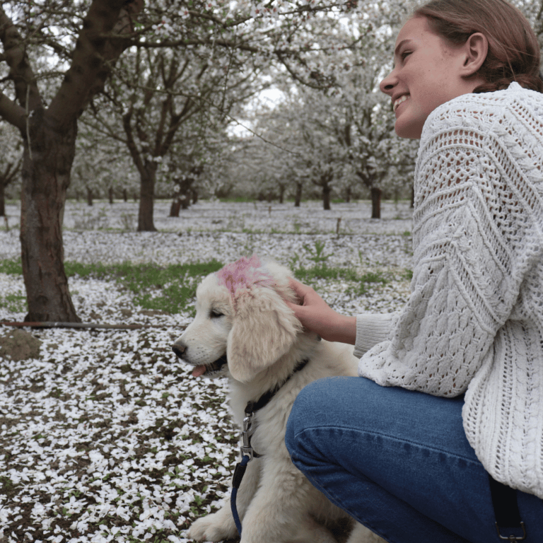 Puppy Vaccination Schedule: Our Evidence-Based Protocol for Livestock Guardian Dogs