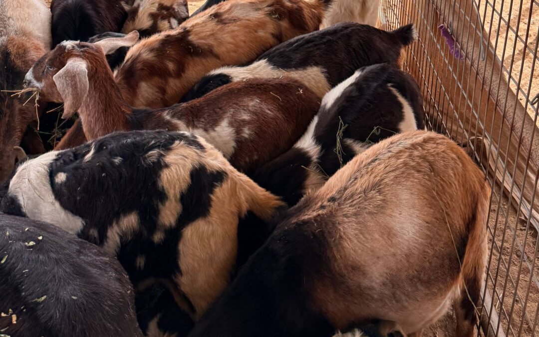 One of These Things is Not Like the Others!