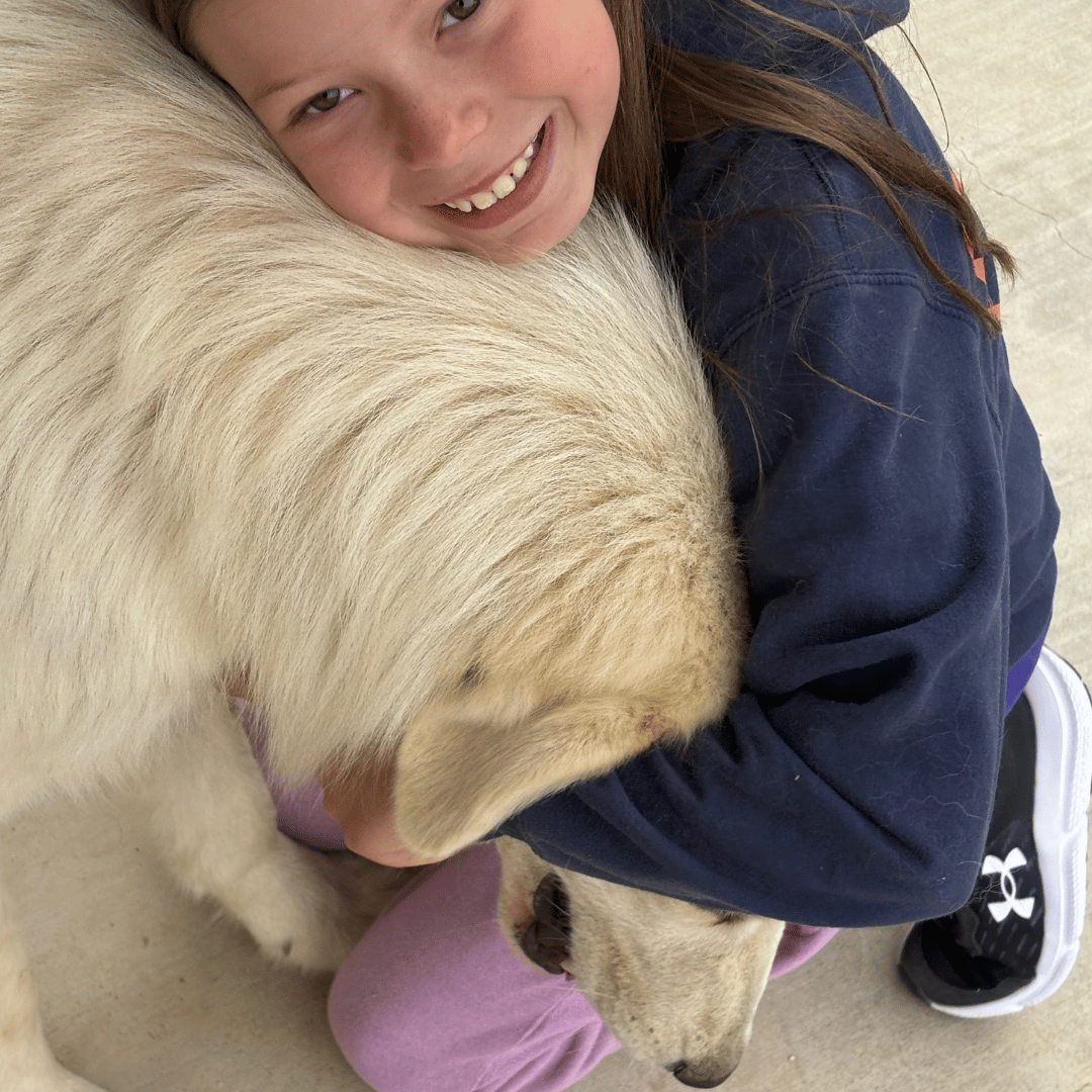 1 1 How to Get a Puppy