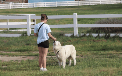🐕 National Dog Bite Prevention Week: LGD Safety Tips