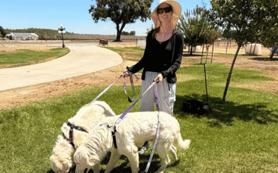 🛫 Romeo and Pele flew home yesterday (and why planning ahead made all the difference)