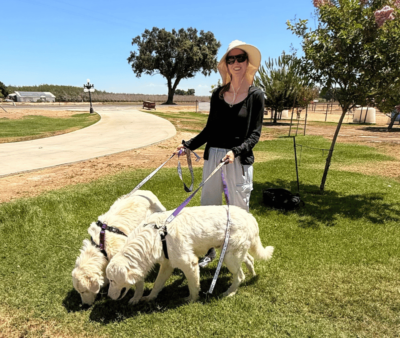 🛫 Romeo and Pele flew home yesterday (and why planning ahead made all the difference)