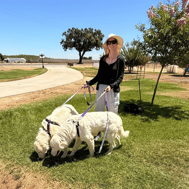 wwoAMwyAWUsgs29EFGhJNm Why Smart Planning Makes All the Difference: Your Guide to Maremma Success