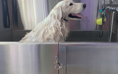The Ultimate Guide to Grooming Your Livestock Guardian Dog