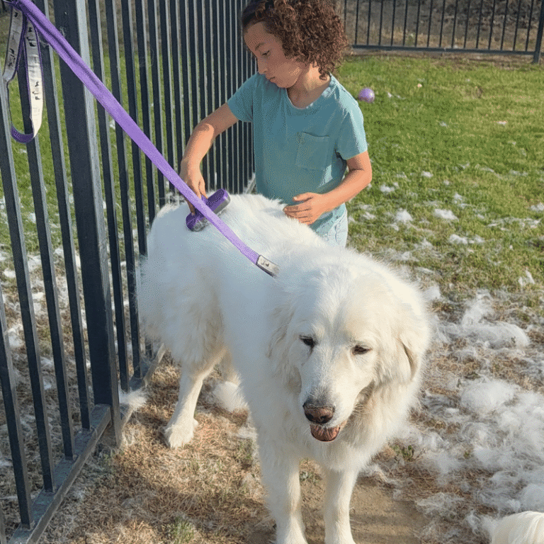 Book Review: “Grooming Without Stress, Safer, Quicker, Happier” by Terrie Hayward, Jay Andors & Anne Francis