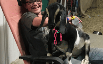 🐐 Don’t Miss Out: Last Chance for Prancing Pony Farm Goat Genetics