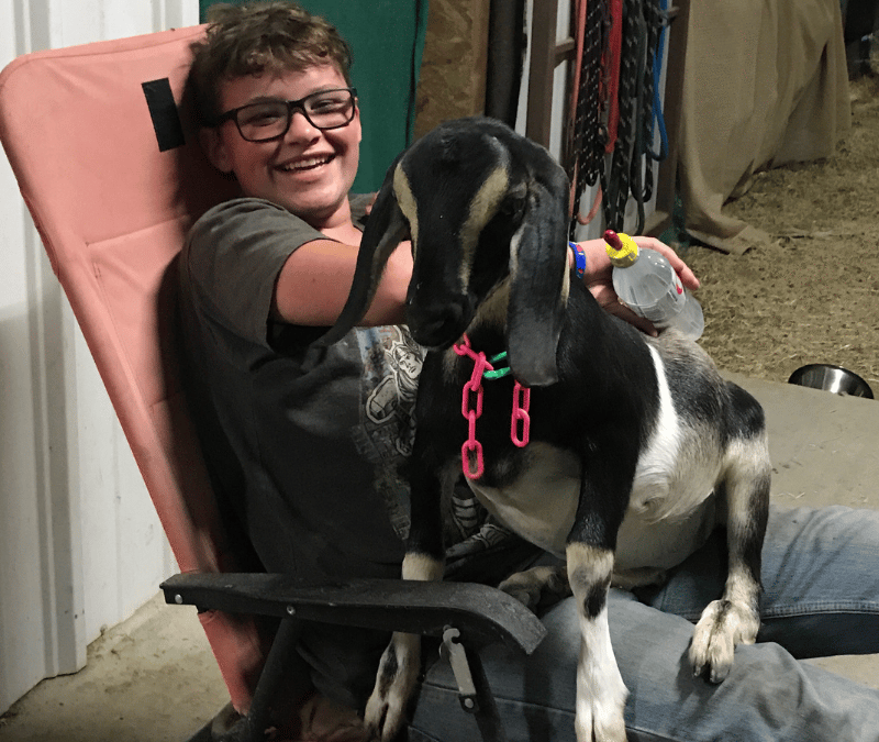 🐐 Don’t Miss Out: Last Chance for Prancing Pony Farm Goat Genetics