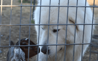 📅 A costly lesson about planning ahead (and some unexpected opportunities)