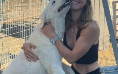 Breaking my Thursday tradition for THIS exciting story ✈️