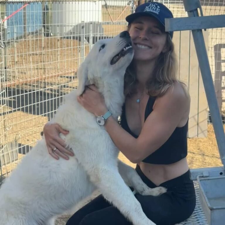 Caia, a Maremma Sheepdog puppy from Prancing Pony Farm, joyfully greeting her new owner Sarah with kisses on pickup day before her journey to Hawaii