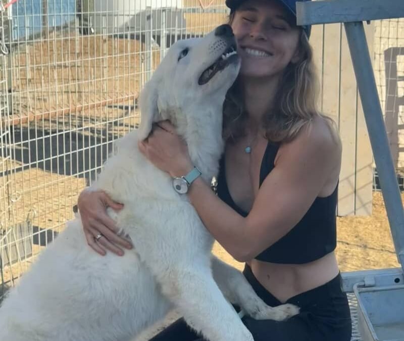 Breaking my Thursday tradition for THIS exciting story ✈️