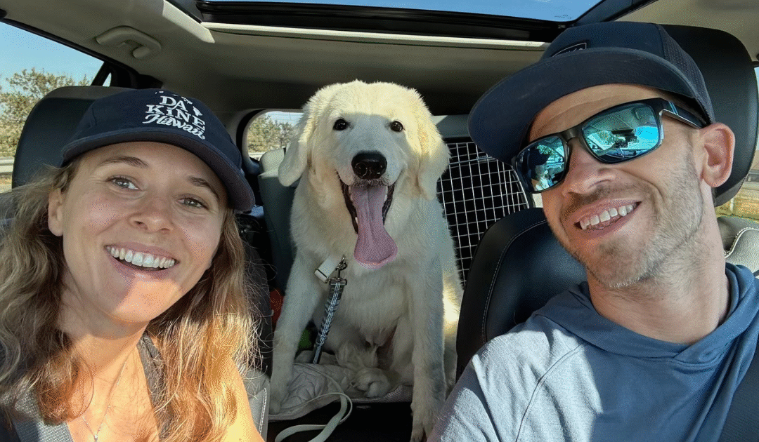 Aloha, Caia! A Maremma Sheepdog Puppy’s Journey from California to Hawaii