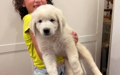 💉Building immunity: What’s protecting your future livestock guardian?