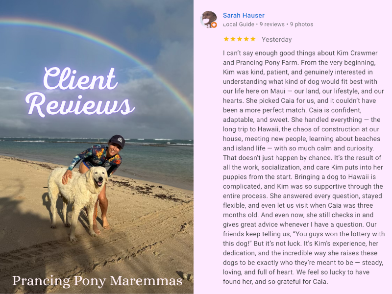 1 1 Prancing Pony Farm 2025: Honoring Olaf's Legacy Through Loss, Growth & Professional Achievement