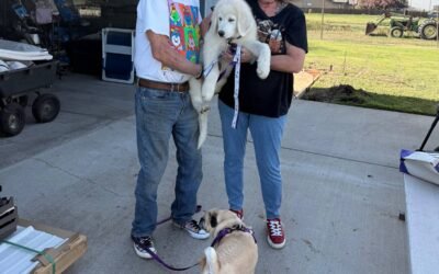 Luna Met Her New Family—Yours Could Be Next! 💜