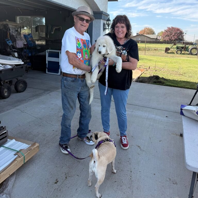 Luna Met Her New Family—Yours Could Be Next! 💜