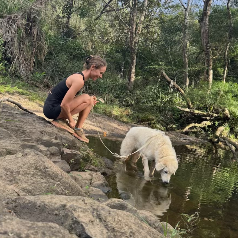 1 3 My Dog Training Journey: From First-Time Owner to Confident Handler