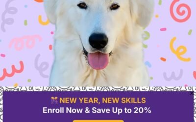 The training course that transformed two dogs (and it’s on sale)