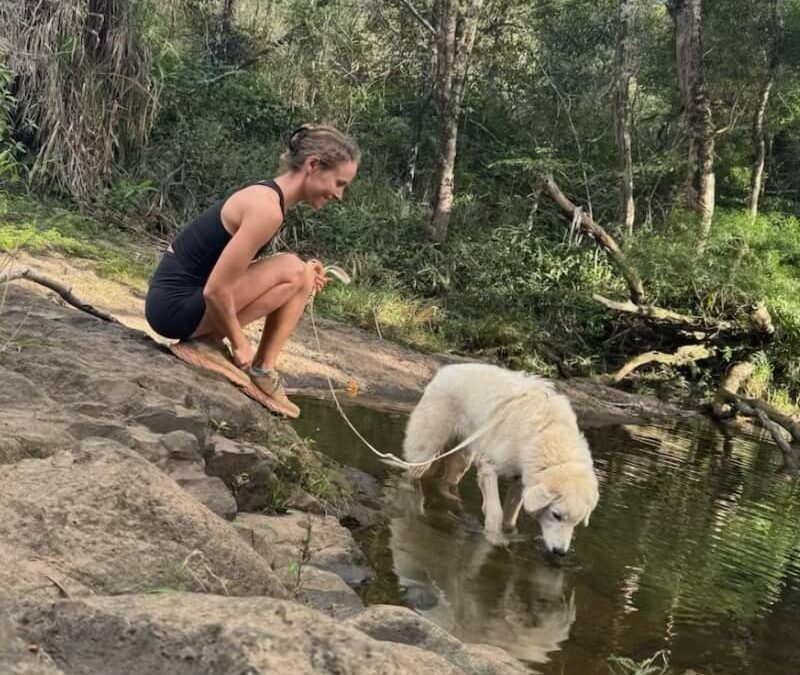 🌺 Sarah tried 3 popular training methods. Here’s what actually worked.