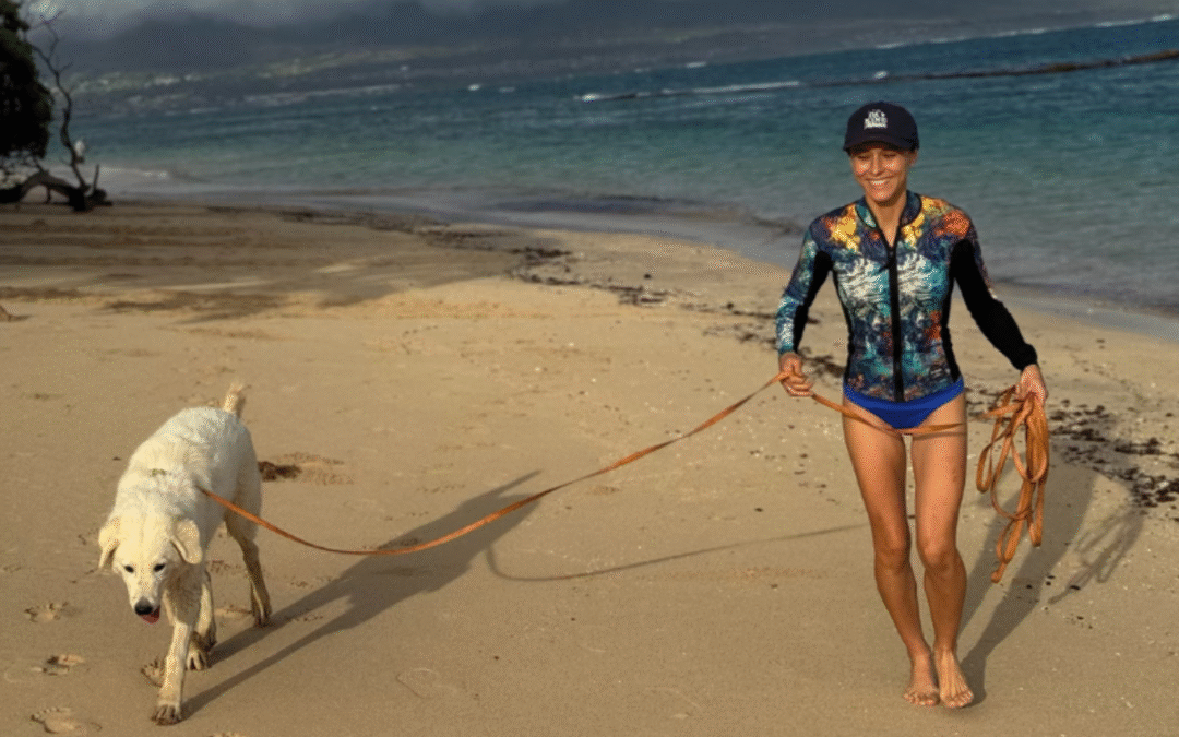 My Dog Training Journey: From First-Time Owner to Confident Handler