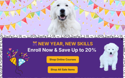 Karen Pryor Academy January Sale: 20% Off Dog Training Courses