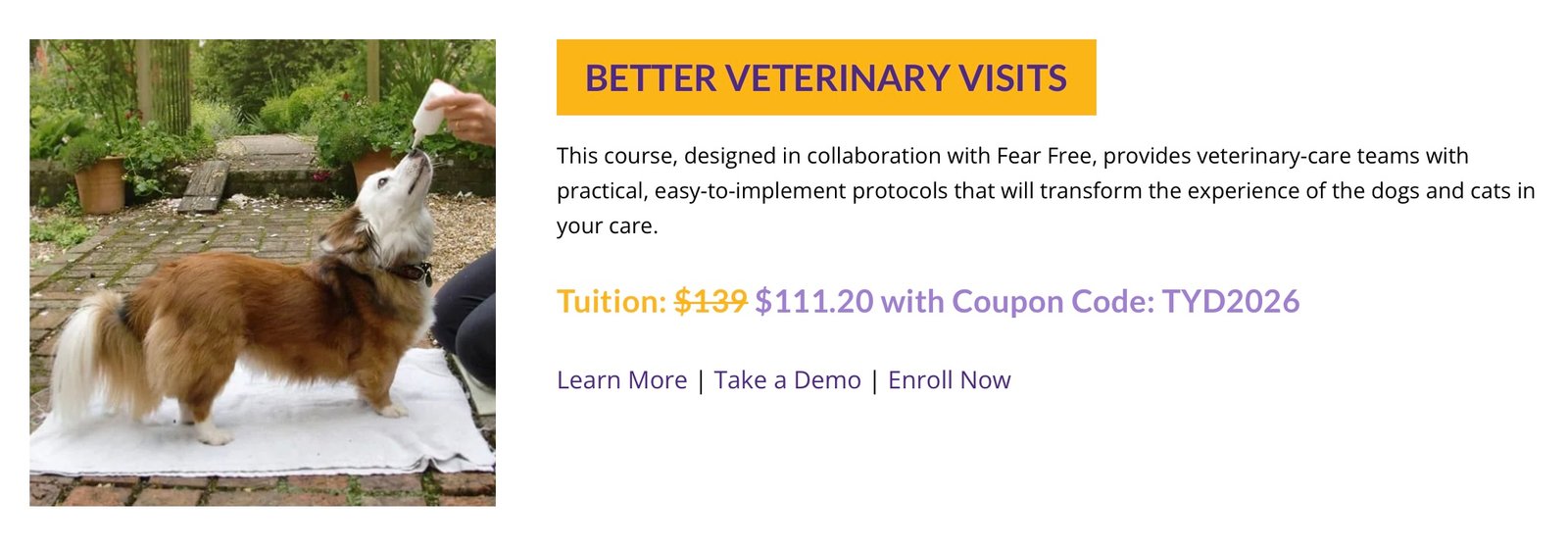 IMG 9676 Karen Pryor Academy January Sale: 20% Off Dog Training Courses