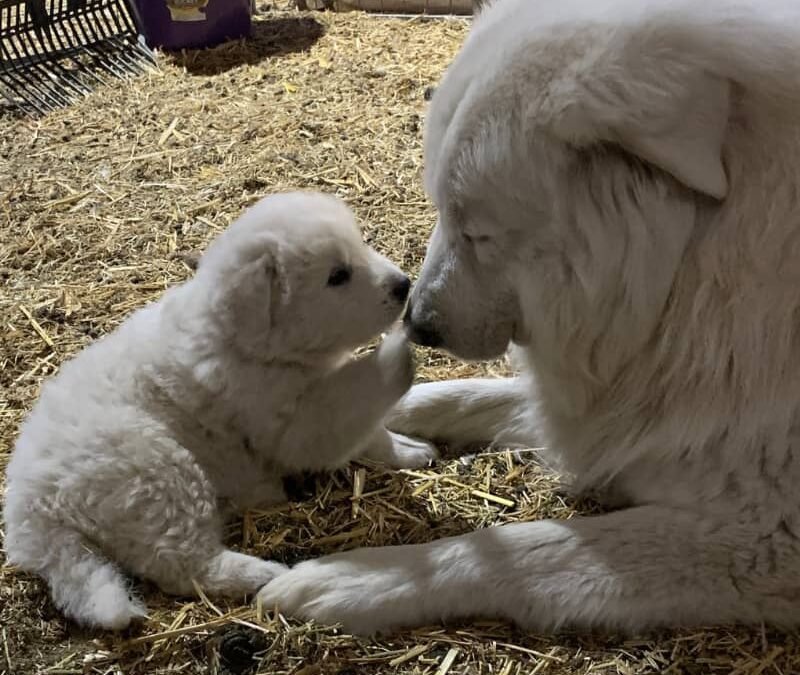 From Heartbreak to Achievement: Our 2025 Story