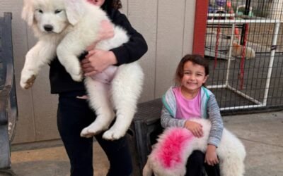 The lineup you’ve been waiting for is here…