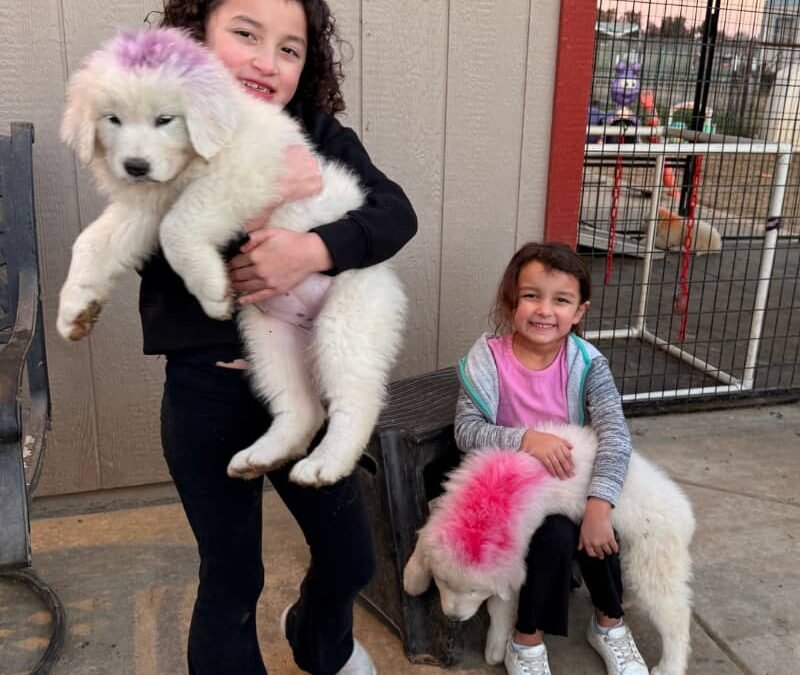 The lineup you’ve been waiting for is here…